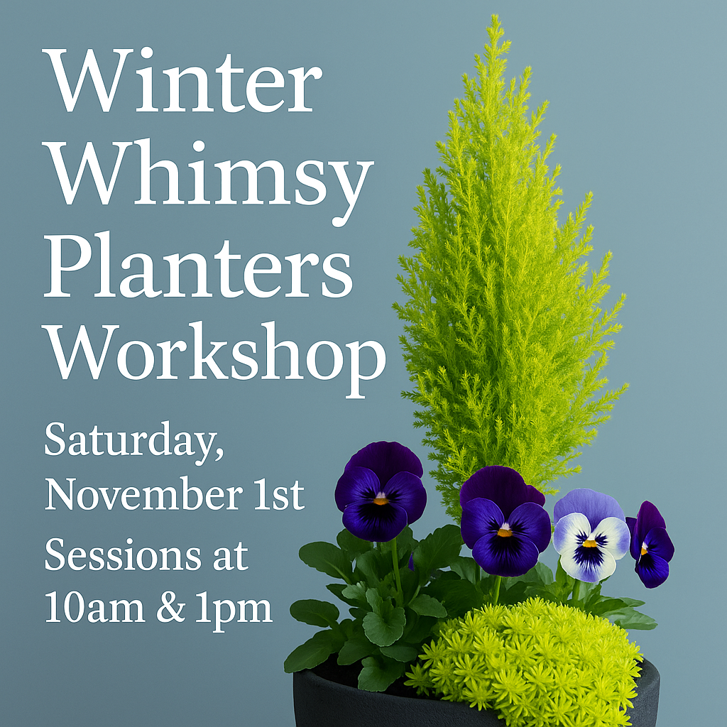 Winter Whimsy Planters Workshop - Nov 1st