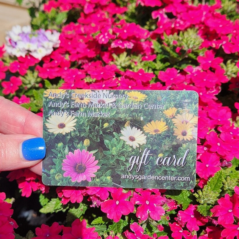 Landscape Design Gift Certificate