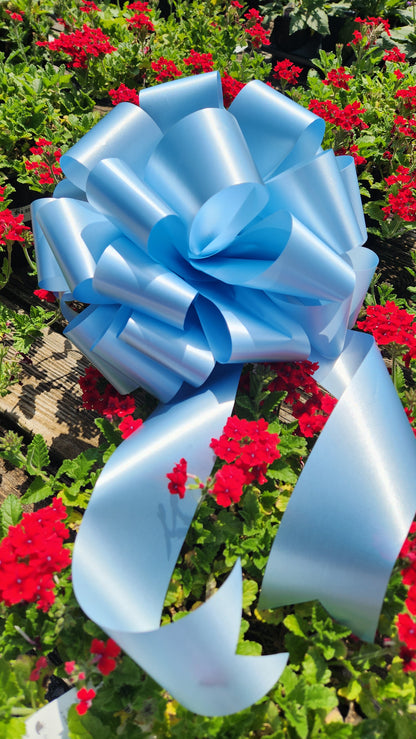 Blue Bow