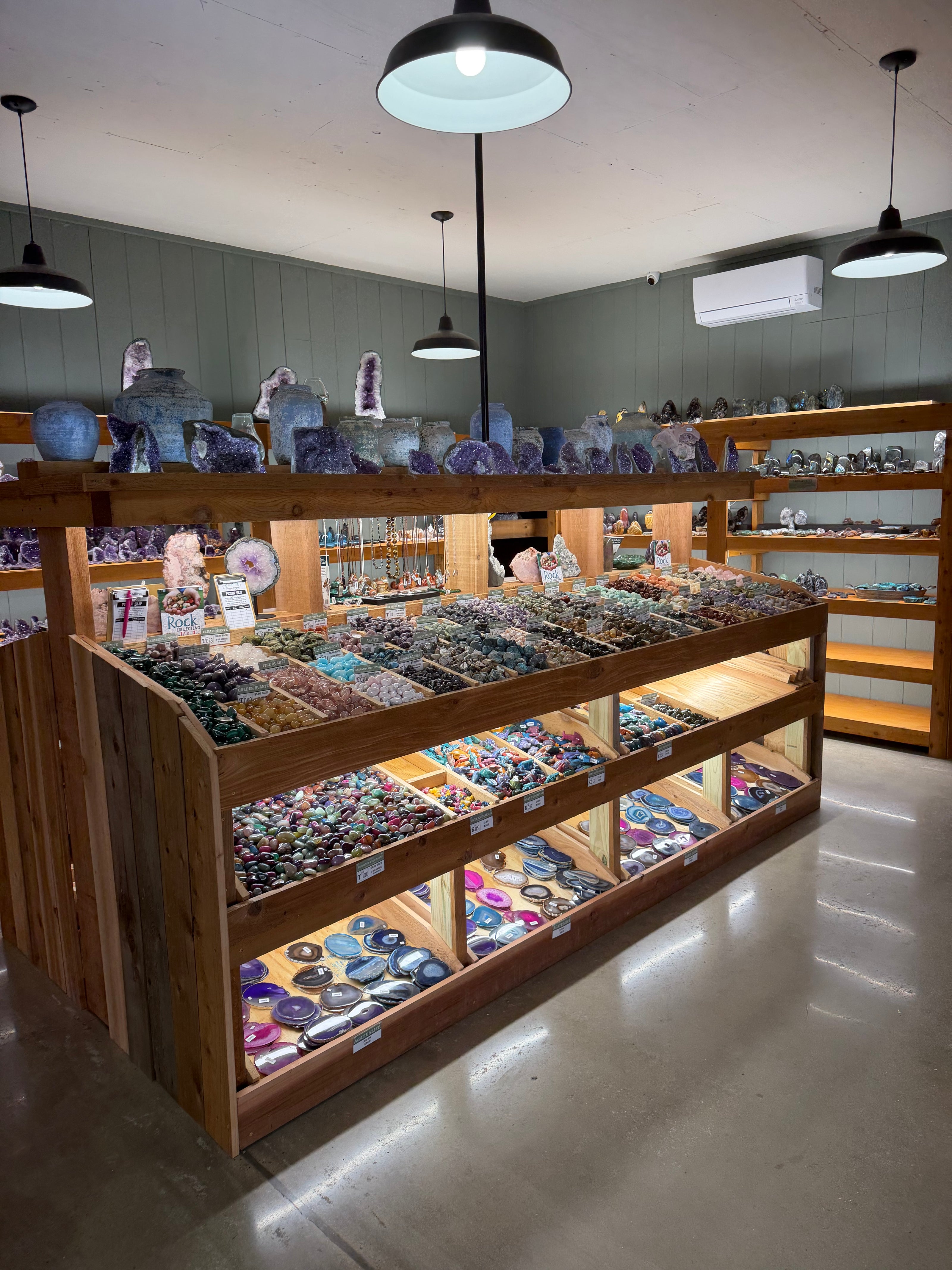 Display case with various items including rough and tumbled stones, fossils, gems, and crystals.