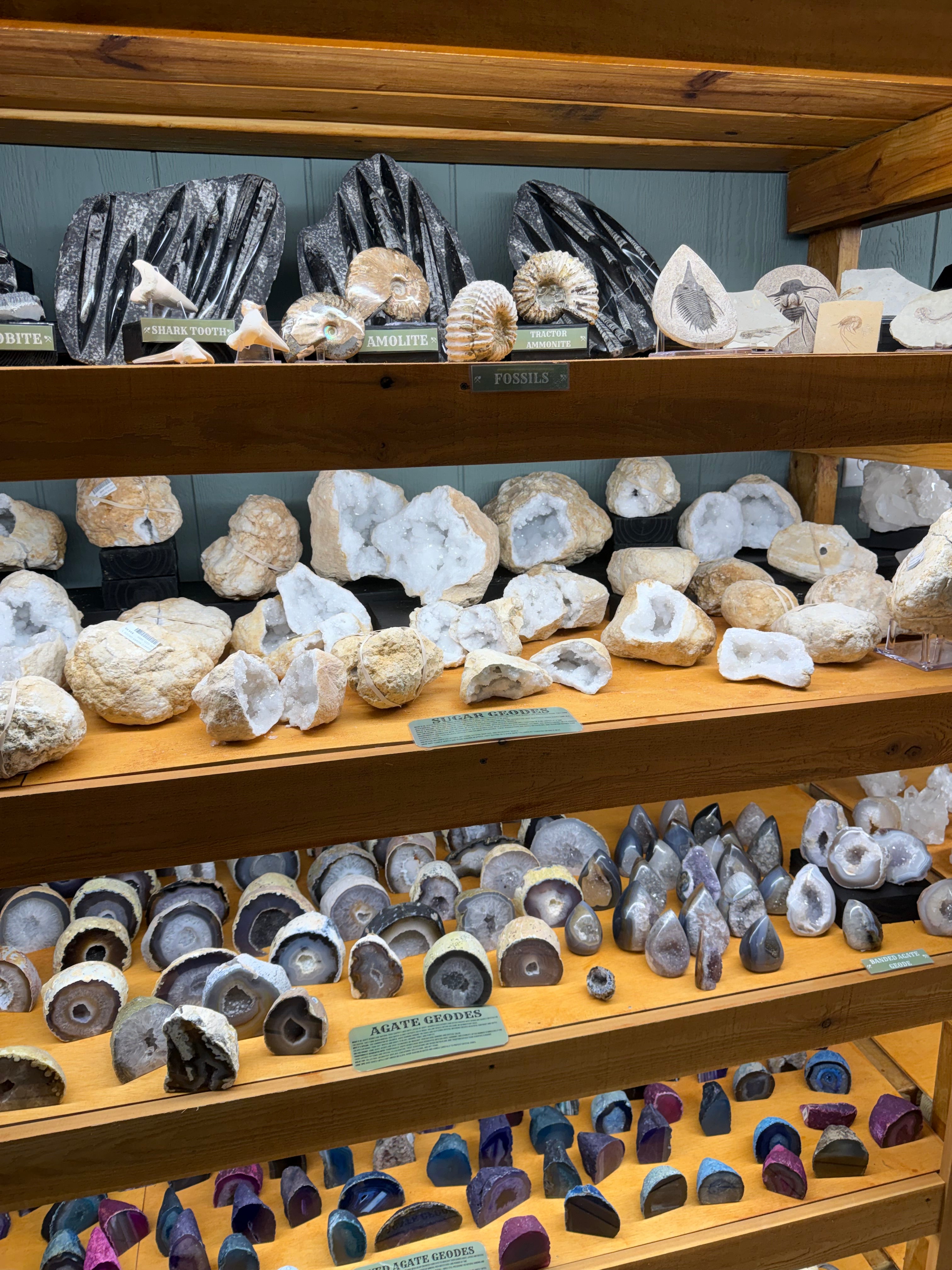 Display case with various agate slices and polished stones.